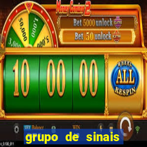 grupo de sinais trader telegram